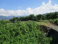 NishinoharaToride (10).JPG