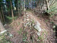 SakuraborajouChris (4).jpg