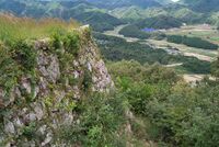Takeda40.jpg