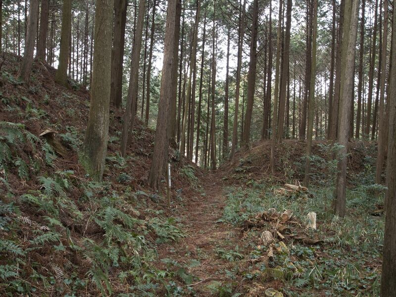 File:Wadakoka15.jpg