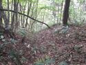 YakyuuToride (10).jpg