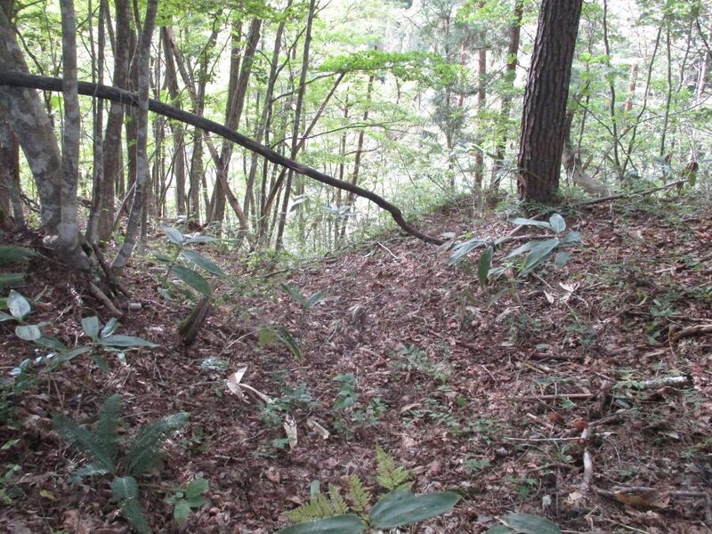 File:YakyuuToride (10).jpg