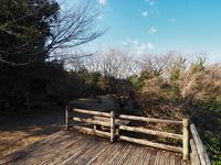 Yamana16.jpg