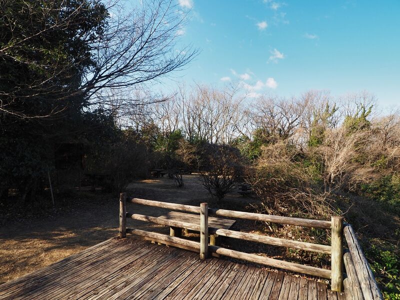 File:Yamana16.jpg