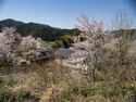 Fujikake4.jpg