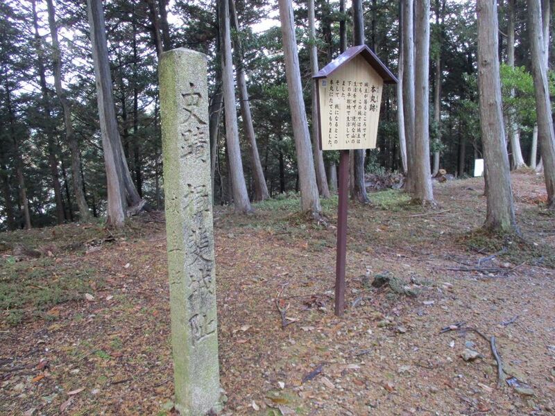 File:Ibijou006.jpg