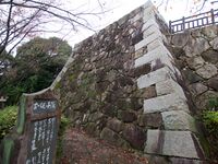 Kamei37.jpg