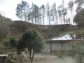 Thumbnail for version as of 10:07, 19 July 2022