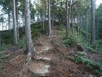 Matsudairajo15.jpg