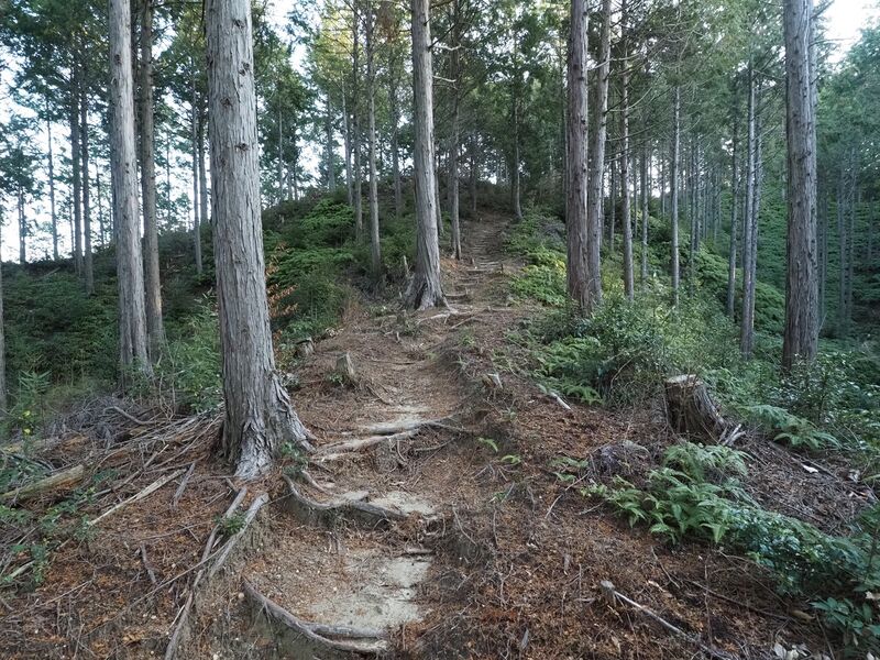 File:Matsudairajo15.jpg