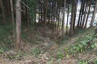 Minagawa1.jpg