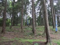 MinoYamanakajou (14).JPG