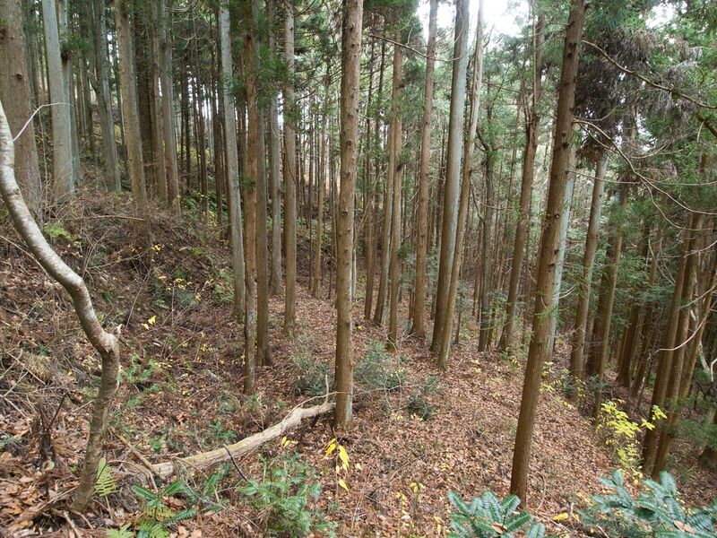 File:Ogoe22.jpg