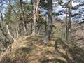 Thumbnail for version as of 03:42, 11 June 2021