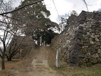 Tamaru2025 17.jpg