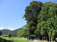 UenodanYakata (1).JPG