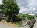 YabarahigashimuraYashiki09.JPG