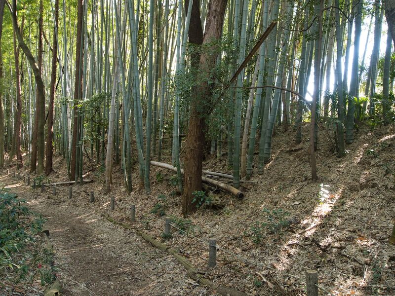 File:Inayashiki12.jpg