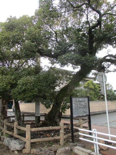 File:KigaJinya (2).jpg