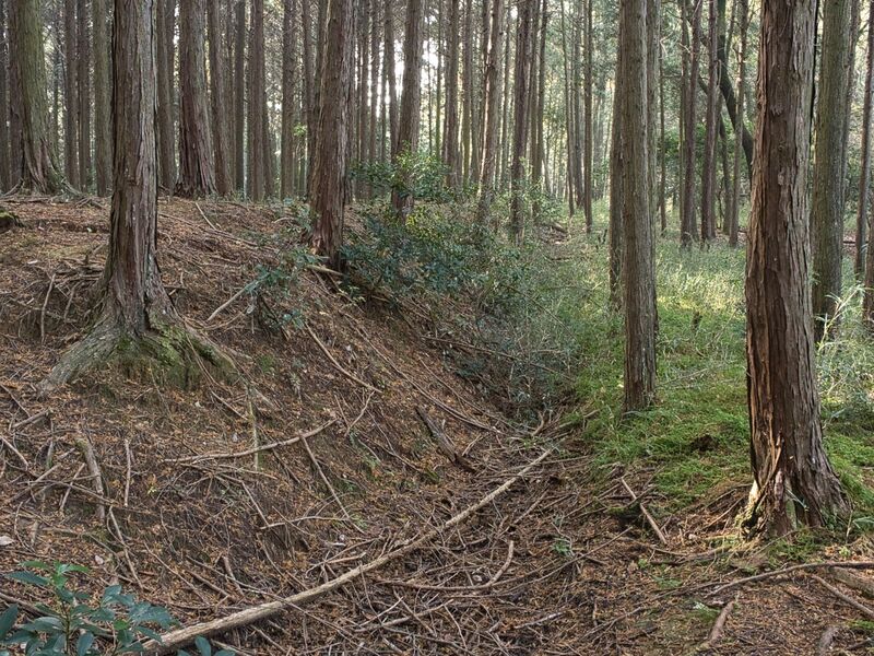 File:Koideyakatakyoto19.jpg