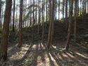 Kokashingushi14.jpg