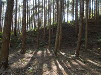 Kokashingushi14.jpg