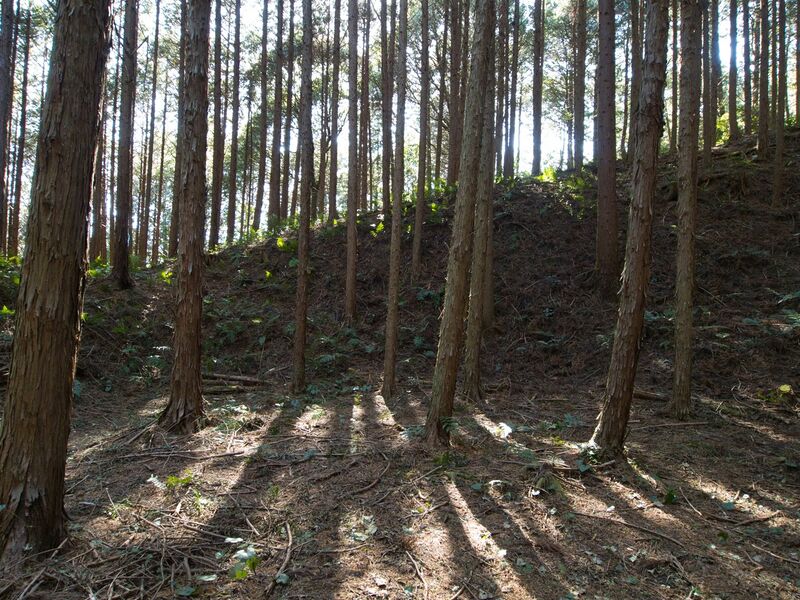 File:Kokashingushi14.jpg