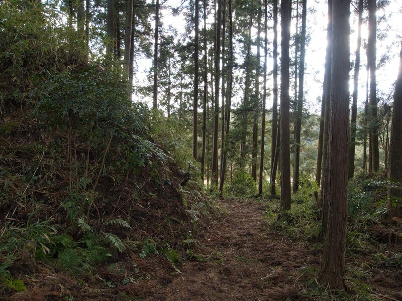 File:Kuboyashikishi7.jpg