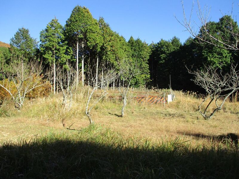 File:MikawaAsoukojou (2).jpg