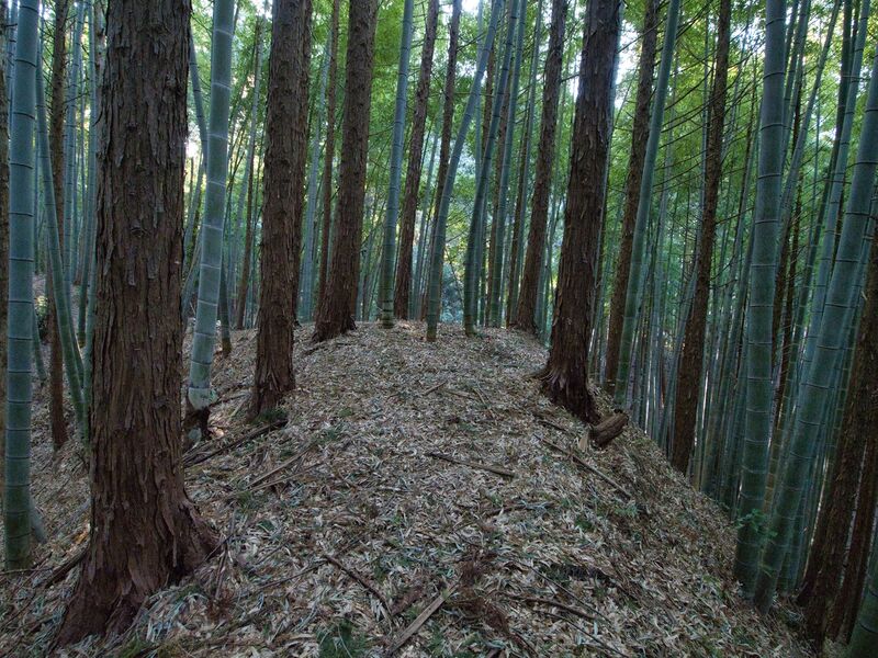 File:Mochizukikoka21.jpg