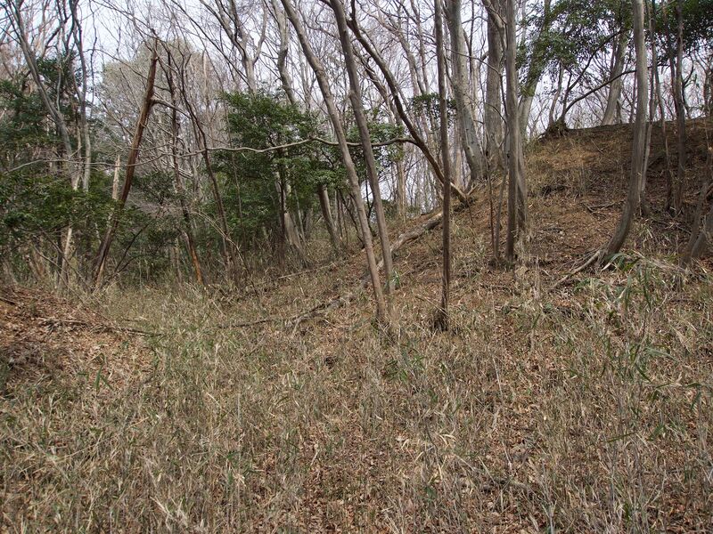 File:Nishikata40.jpg