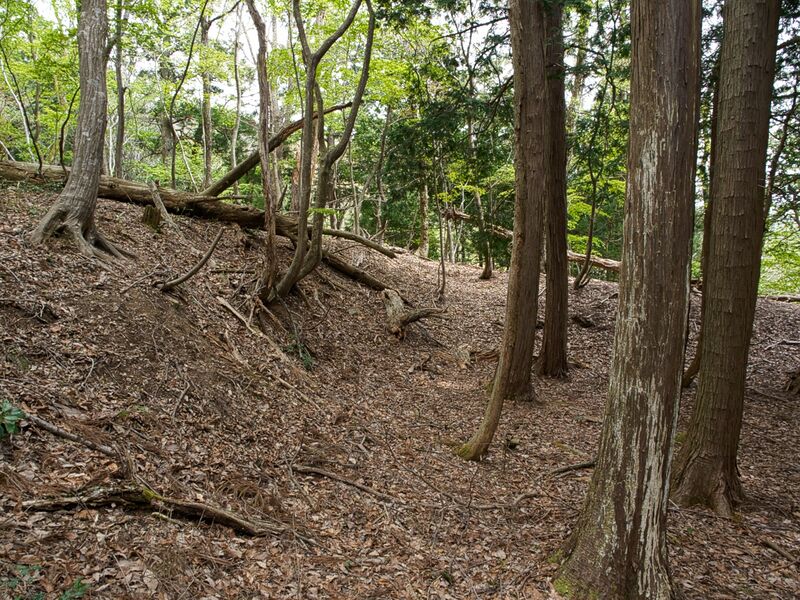 File:Shobudani31.jpg