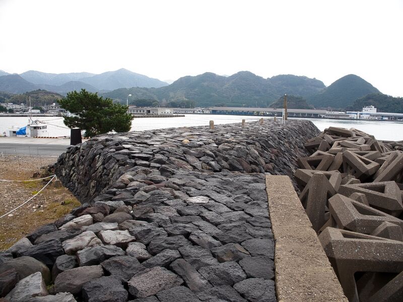 File:Hagiebisugahana7.jpg