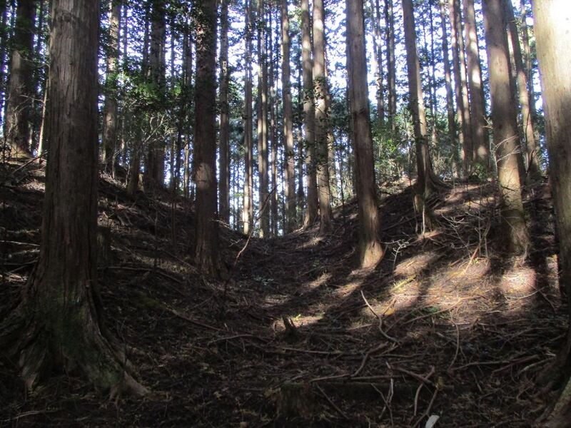 File:MikawaHabujou008.jpg