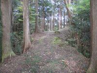 MikawaOhkuwajou001.jpg