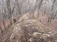 MisakajouB (86).jpg