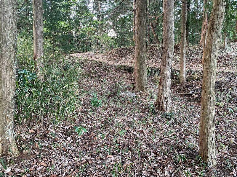 File:SakuraborajouChris (5).jpg