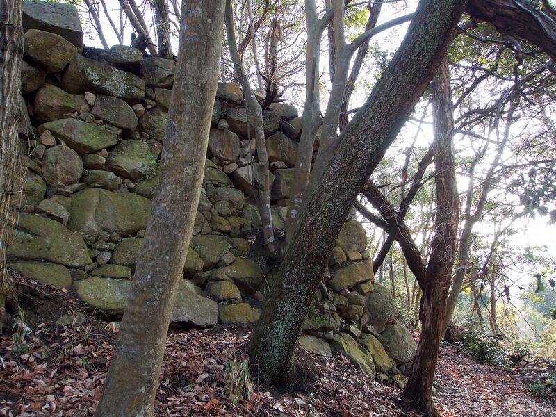 File:Sasou10.jpg