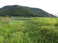 TakedashishugoYakata (18).JPG