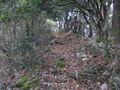 Thumbnail for version as of 13:04, 19 January 2022