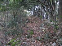 EchigoKatsuyamajou (13).JPG