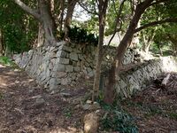 Hagicastle21.jpg