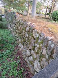 HizenKashimajou (38).JPG