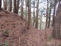 Iinawajou (9).JPG
