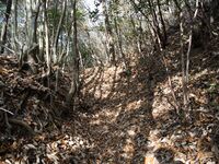 Inokurakyoto6.jpg