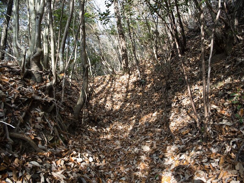 File:Inokurakyoto6.jpg