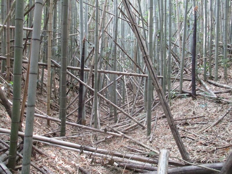 File:IseUenojou (4).jpg
