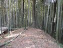 Iwazujou (11).jpg