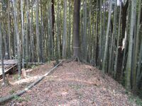 Iwazujou (11).jpg