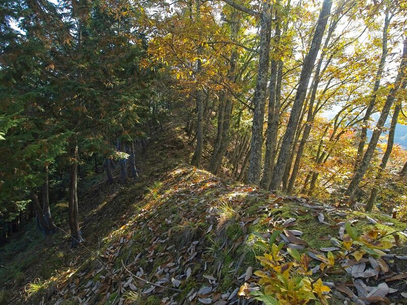 File:Kamaha11.jpg